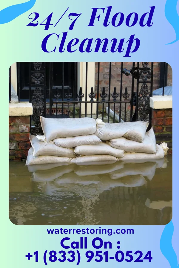 24/7 Flood Cleanup in Belle Fontaine, AL