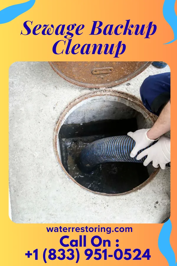 Sewage Backup Cleanup in Belle Fontaine, AL